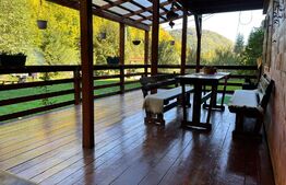 Cabana 4 camere, 130 mp utili, 2200 mp teren, zona Ocolis, Jud.Alba 