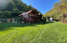 Cabana 4 camere, 130 mp utili, 2200 mp teren, zona Ocolis, Jud.Alba 