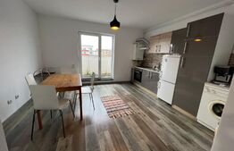 Apartament 1 camera, 42 mp, parcare, zona Terra 