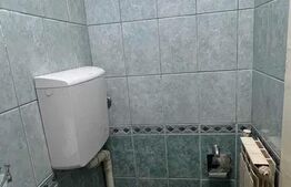 Apartament cu o camera, 40 mp, zona Horea