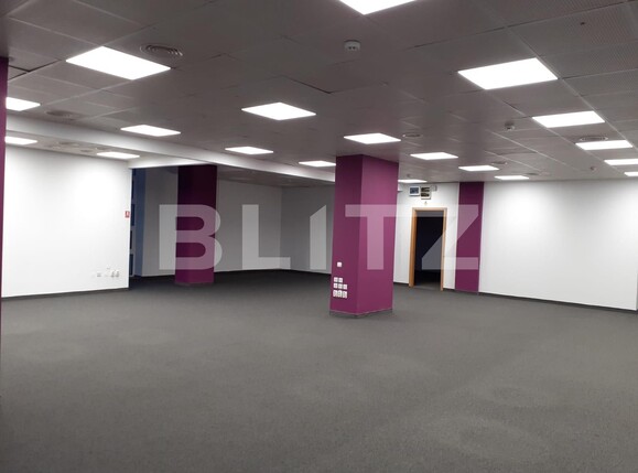 Spațiu birouri de închiriat Central - 130943SIB | BLITZ Cluj-Napoca | Poza1