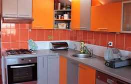 Apartament cu 3 camere, 115 mp, mobilat modern, terasa, 21 mp, zona strazii Emil Racovita!