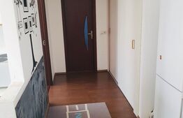 Apartament 2 camere, 50mp, etaj intermediar, parcare, zona Tauti