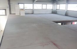 Spatiu industrial, hala 465 mp cu spatiu de birou inclus si acces tir, teren 1000 mp - zona Triaj