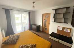 Apartament 2 camere, 60 mp , zona Nichita Stanescu, Pet friendly