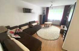 Apartament 2 camere, 60 mp , zona Nichita Stanescu, Pet friendly