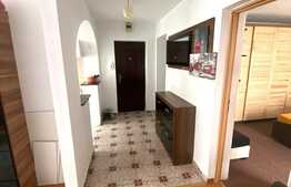 Apartament 2 camere, 60 mp , zona Nichita Stanescu, Pet friendly