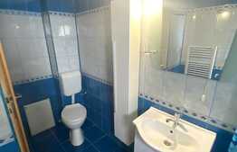Apartament 2 camere, 60 mp , zona Nichita Stanescu, Pet friendly