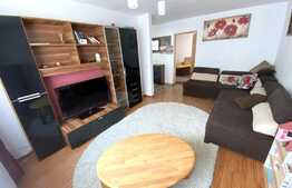 Apartament 2 camere, 60 mp , zona Nichita Stanescu, Pet friendly