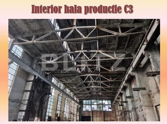 Spațiu industrial de vânzare  - 131174SVI | BLITZ Cluj-Napoca | Poza7