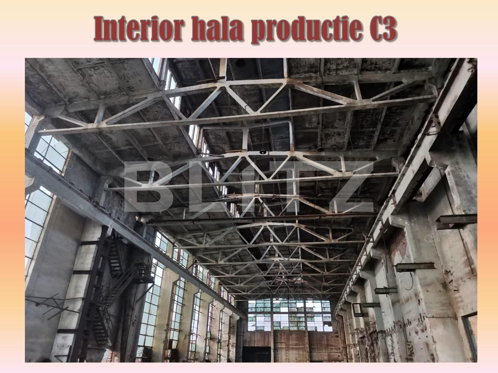 Spațiu industrial de vânzare  - 131174SVI | BLITZ Cluj-Napoca | Poza7