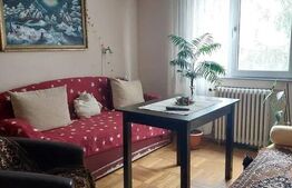 Apartament cu 3 camere, 47 mp, zona strazii Mehedinti 