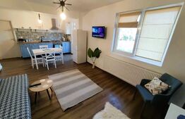 Apartament 2 camere, 50mp, modern, parcare, zona Valea Garbaului 