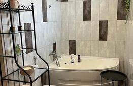 Duplex 170 mp utili, 6 camere, 3 bai, parcare, pet friendly, curte 100 mp, Marasti