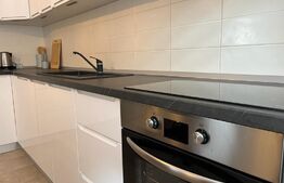 Duplex 170 mp utili, 6 camere, 3 bai, parcare, pet friendly, curte 100 mp, Marasti