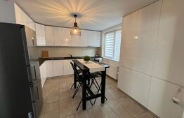Duplex 170 mp utili, 6 camere, 3 bai, parcare, Pet Friendly, nemobilat, curte 100 mp, Marasti
