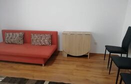 Garsoniera, 28 mp, zona strazii Detunata