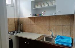 Garsoniera, 28 mp, zona strazii Detunata