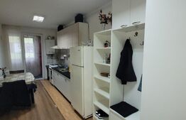 Apartament 1 camera, etaj intermediar, 30mp, balcon, parcare, zona Porii