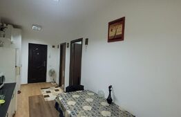 Apartament 1 camera, etaj intermediar, 30mp, balcon, parcare, zona Porii