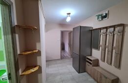 Apartament 2 camere, 49mp zona Steagu