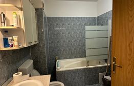 Apartament 1 camera, 42 mp,  etaj intermediar in  Manastur 