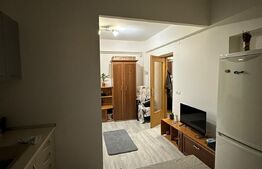 Apartament 1 camera, 42 mp,  etaj intermediar in  Manastur 