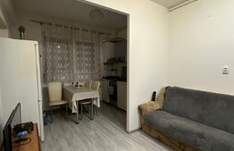 Apartament 1 camera, 42 mp,  etaj intermediar in  Manastur 