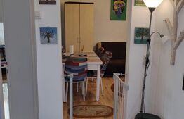 Casa renovata, 2 camere, 54mp, 117mp teren, zona Parcul Fraternitatii