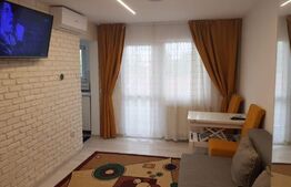 Garsoniera moderna, 22MP, ideala pentru investitie, zona Oasului 