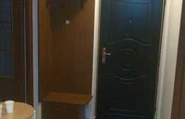 1 camera, 40 mp, mobiliat modern, zona strazii Plopilor