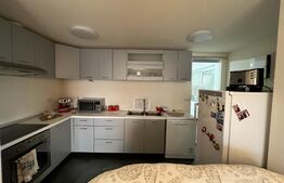 Casa individuala 190 mp, finisata, mobilata, Dej