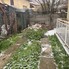 Casa de închiriat 5 camere Central - 131366CI - Poza 1 din 16 | BLITZ Cluj-Napoca | Poza14