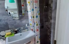 Garsoniera, 35 mp, Marasti, strada București 