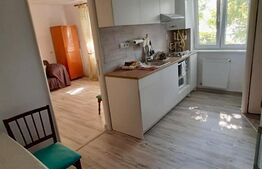 Garsoniera, 35 mp, Marasti, strada București 