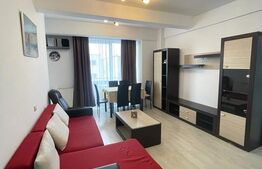 Apartament 2 camere, 45 mp, pet friendly, zona strazii Viilor