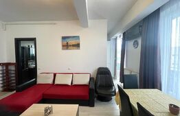 Apartament 2 camere, 45 mp, pet friendly, zona strazii Viilor