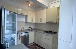Apartament 2 camere, 45 mp, pet friendly, zona strazii Viilor