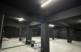 Spatiu multifunctional, 260 mp, parter, zona Interservisan