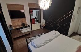 Apartament o camera, 38MP, zona Garii