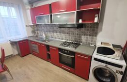 Apartament o camera, 38MP, zona Garii