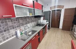 Apartament o camera, 38MP, zona Garii