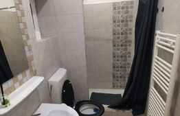 Apartament o camera, 38MP, zona Garii