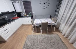 Apartament de 2 camere, parter inalt, 48 mp, zona Auchan-Iris
