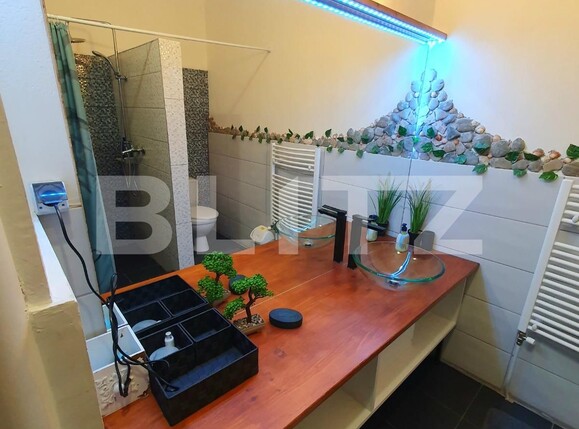 Garsonieră de închiriat Gruia - 131513AI | BLITZ Cluj-Napoca | Poza7