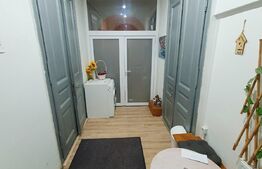 Garsoniera intr-un imobil de tip casa, 40mp, Gruia