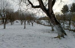 Casă 3 camere, teren 2048 mp, garaj, șură, beci, Săcele 