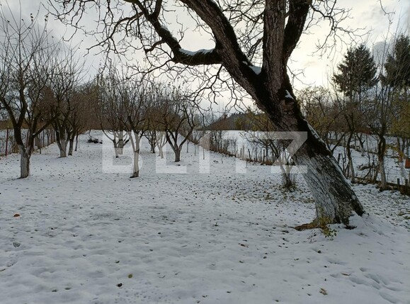 Casa de vânzare 3 camere Sacele - 131546CV | BLITZ Brașov | Poza2