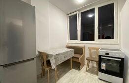 Garsoniera renovata complet, 28 mp, zona Detunata