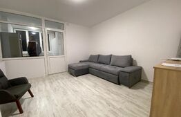 Garsoniera renovata complet, 28 mp, zona Detunata